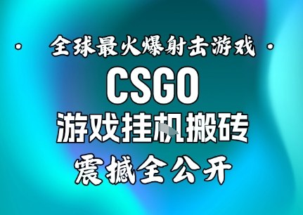 【年底大揭秘】基于全球最火爆的射击CSGO游戏挂G搬砖，日入5张+，震撼公开-淘秘副业
