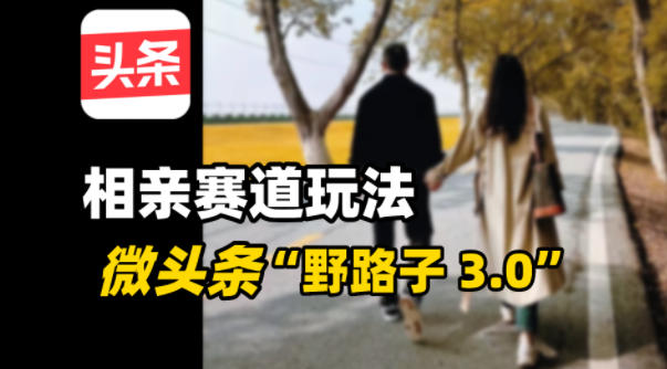 微头条“野路子3.0”相亲赛道玩法，搬砖式操作单号稳定3张-淘秘副业