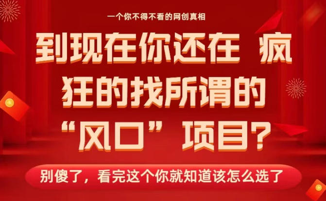 马上26年了，你还在找所谓的风口项目？别傻了，看完这个你全都懂了！【揭秘】-淘秘副业