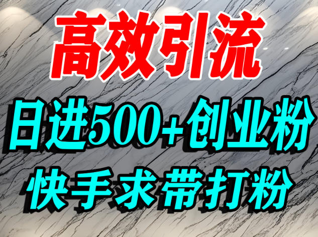 怎么打创业粉？快手求带视角精准引流创业粉，宝妈、学生群体日进500+精准流量-淘秘副业