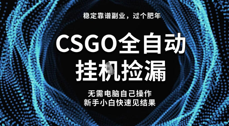 【稳定副业】全球最热门游戏CSGO全自动捡漏，最新玩法，新手小白日入5张+【揭秘】-淘秘副业