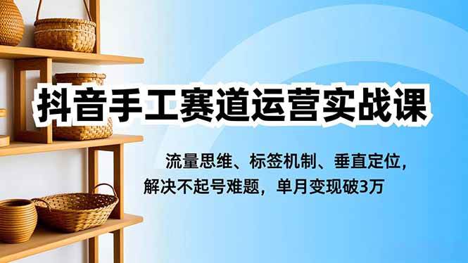 （16667期）抖音手工赛道运营实战课，流量思维、标签机制、垂直定位，解决不起号难题，单月变现破3万-淘秘副业