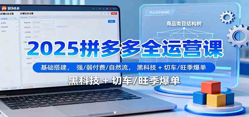 2025拼多多全运营课：基础搭建，强/弱付费/自然流，黑科技 + 切车/旺季爆单-淘秘副业