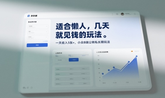 适合懒人，几天就见钱的玩法，一天收入5张+，小众B端公转私长期玩法-淘秘副业