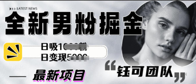 全新男粉掘金思路日吸粉100+日变现1k+-淘秘副业