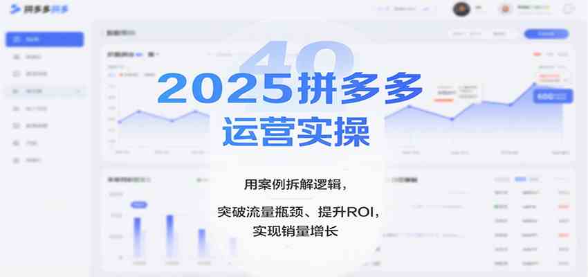 2025拼多多运营实操，用案例拆解逻辑，突破流量瓶颈、提升ROI，实现销量增长-淘秘副业