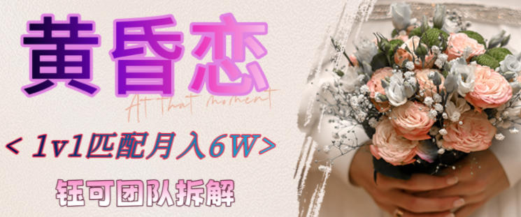副业拆解：黄昏恋1对1匹配月入6个，潜力巨大-淘秘副业