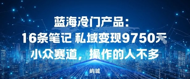 蓝海冷门产品：16条笔记私域变现9750米，小众赛道，操作的人不多-淘秘副业