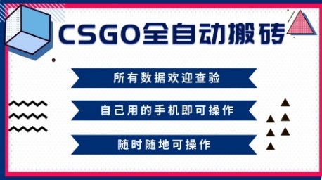 CSGO全自动搬砖，年底钱回家好项目，当天可拿到结果，新手小白轻松月入1W+【揭秘】-淘秘副业