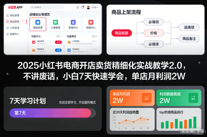2025小红书电商开店卖货精细化实战教学2.0，不讲废话，小白7天快速学会，单店月利润2W-淘秘副业