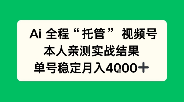 Ai自动托管视频号实战，本人亲测，单账号月入4k+【揭秘】-淘秘副业