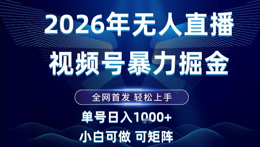2026最新视频号无人直播掘金，全网首发，小白可以玩，长期稳定日入1k+【揭秘】-淘秘副业