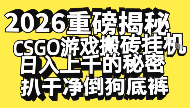 2026开年重磅解密，CSGO游戏搬砖挂G日入1k+的秘密，把倒狗的底裤扒干【揭秘】-淘秘副业