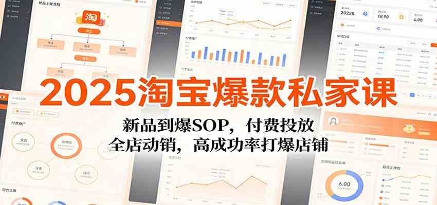 2025淘宝爆款私家课：新品到爆SOP，付费投放，全店动销，高成功率打爆店铺-淘秘副业