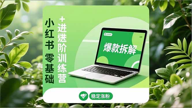 （16801期）小红书零基础+高阶训练营：安全养号、爆款拆解、长效运营，实现稳定涨粉与变现-淘秘副业