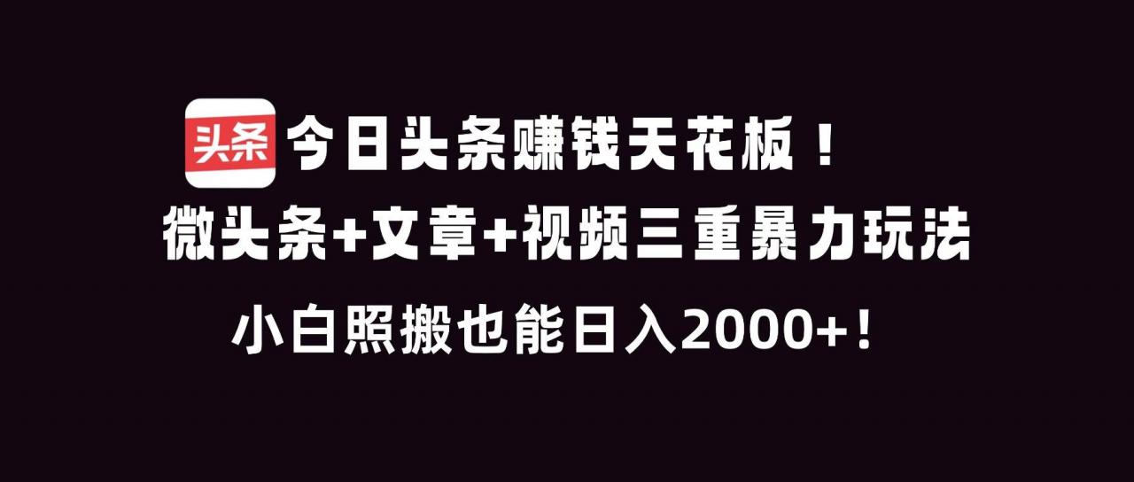 （16888期）今日头条赚钱天花板！微头条+文章+视频三重暴利玩法，小白照搬也能日人2000+-淘秘副业