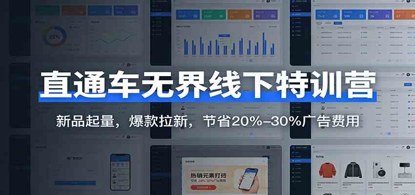 直通车无界线下特训营：新品起量，爆款拉新，节省20%-30%广告费用-淘秘副业