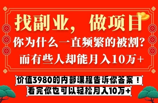 价值3980的网创内部课程，告诉你互联网创业月入10个W的秘密【揭秘】-淘秘副业