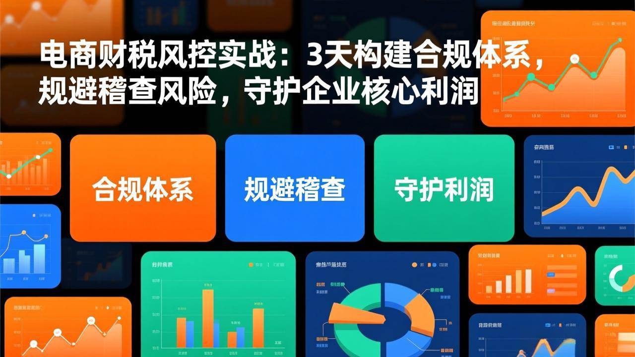 （17197期）电商财税风控实战：3天构建合规体系，规避稽查风险，守护企业核心利润-淘秘副业