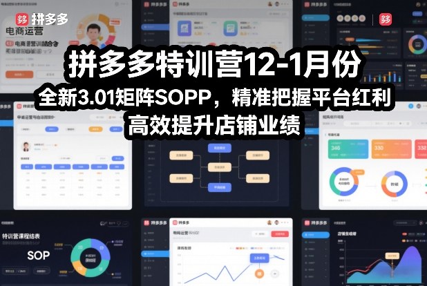 拼多多特训营12-1月份，全新3.01矩阵Sop，精准把握平台红利，高效提升店铺业绩-淘秘副业