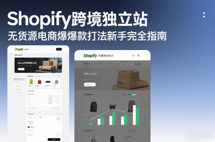 Shopify跨境独立站无货源电商爆款打法新手完全指南-淘秘副业