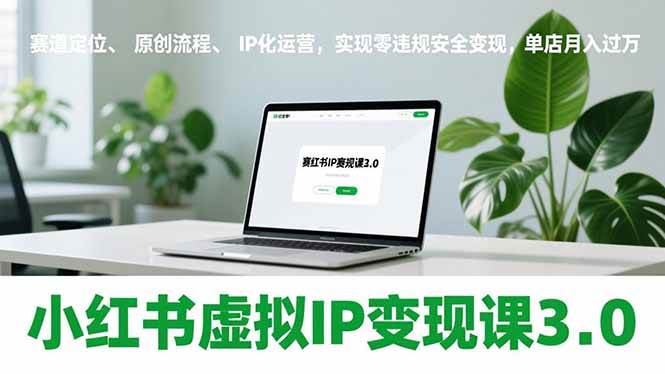 （17029期）小红书虚拟IP变现课3.0，赛道定位、原创流程、IP化运营，实现零违规安全变现，单店月入过万-淘秘副业