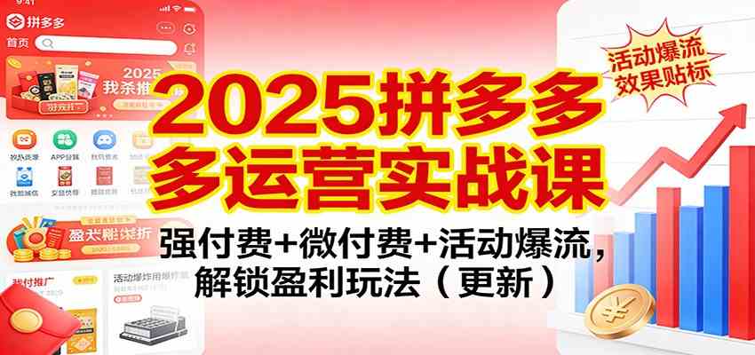 2025拼多多运营实战课：强付费+微付费+活动爆流，解锁盈利玩法（更新）-淘秘副业