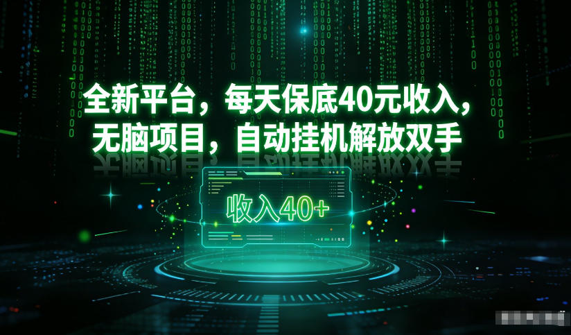 最新看广平台，每天保底30-4米，无脑项目，自动挂G解放双手【揭秘】-淘秘副业