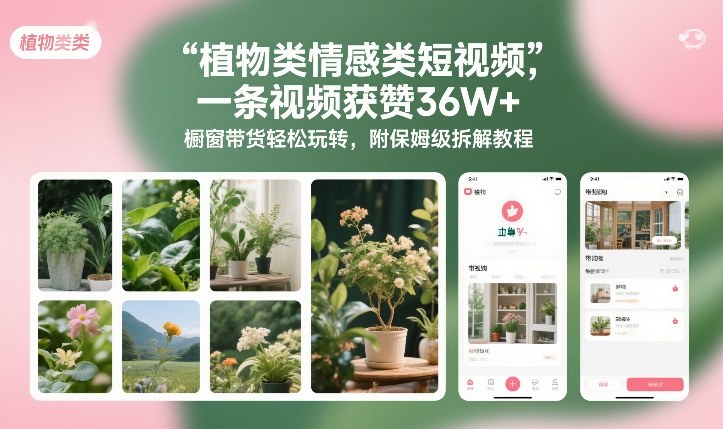 植物类情感类短视频，一条视频获赞36W+，橱窗带货轻松玩转，附保姆级拆解教程-淘秘副业