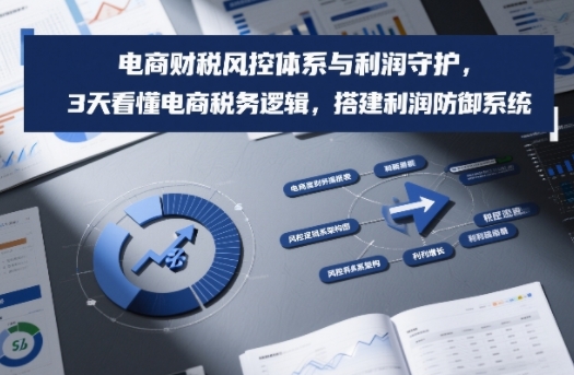 电商财税风控体系与利润守护，3天看懂电商税务逻辑，搭建利润防御系统-淘秘副业