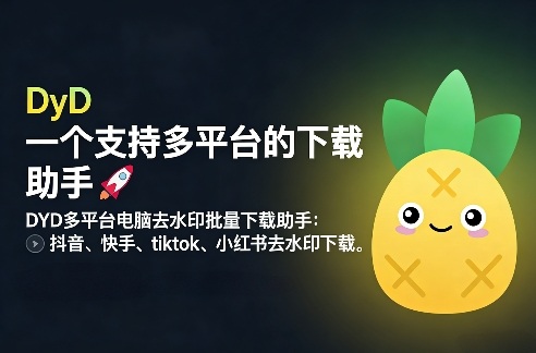 DYD多平台电脑去水印批量下载助手：抖音、快手、tiktok、小红书去水印下载-淘秘副业