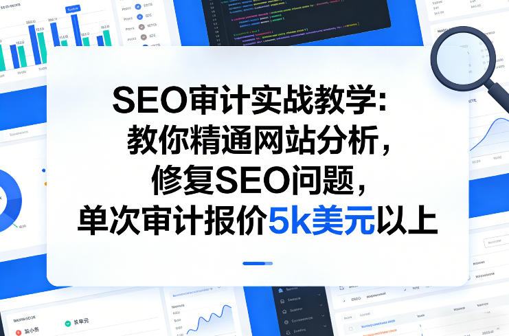 SEO审计实战教学：教你精通网站分析，修复SEO问题，单次审计报价5k美元以上-淘秘副业