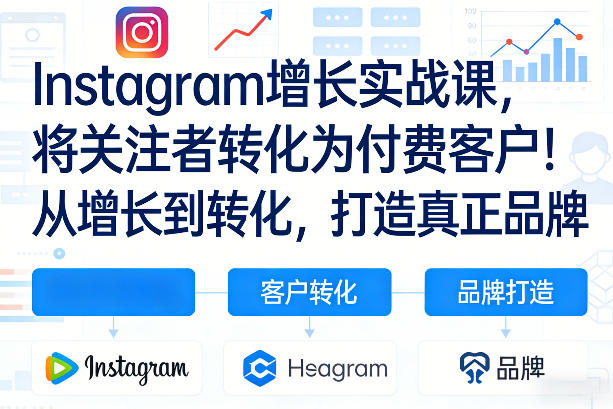 Instagram增长实战课，将关注者转化为付费客户！从增长到转化，打造真正品牌（双语字幕）-淘秘副业