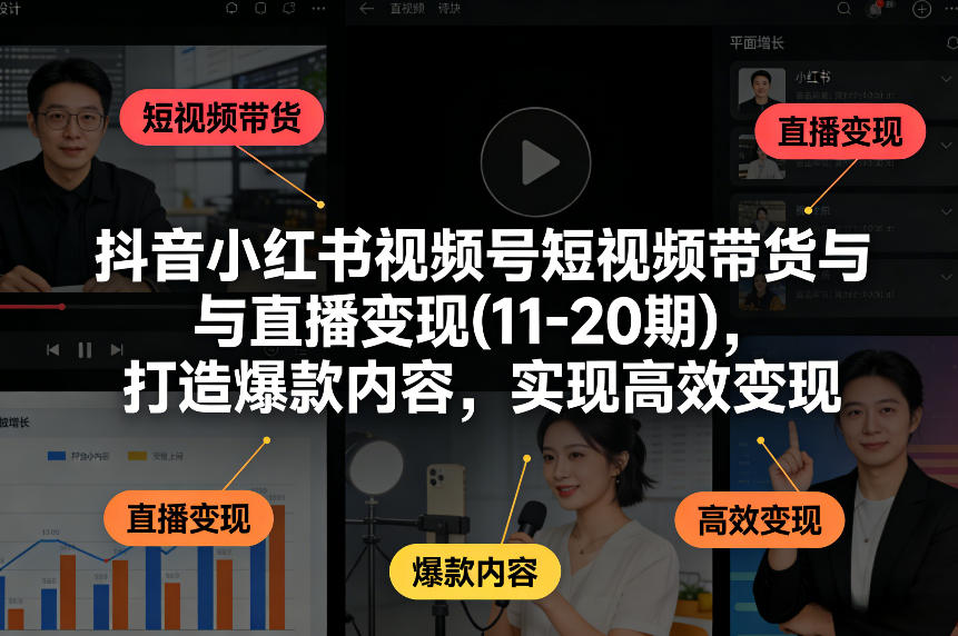抖音小红书视频号短视频带货与直播变现(10-20期)，打造爆款内容，实现高效变现（更新）-淘秘副业