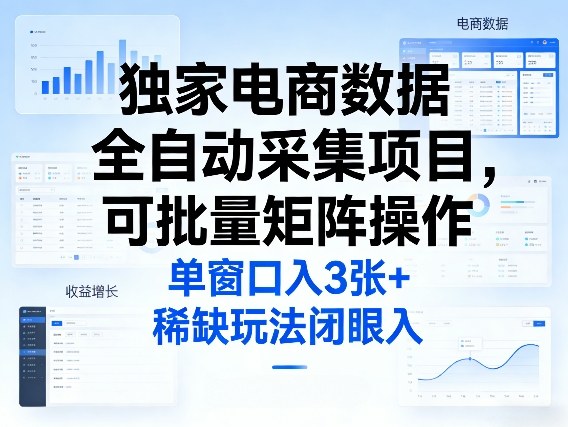 独家电商数据全自动采集项目，可批量矩阵操作，单窗口日入3张+，稀缺玩法闭眼入【揭秘】-淘秘副业