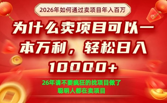 一单净利润1K+，26年想年入100个W，死磕卖项目就够了【揭秘】-淘秘副业