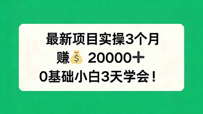 （17856期）最新项目实操3个月，赚钱20000+，0基础小白3天学会！-淘秘副业